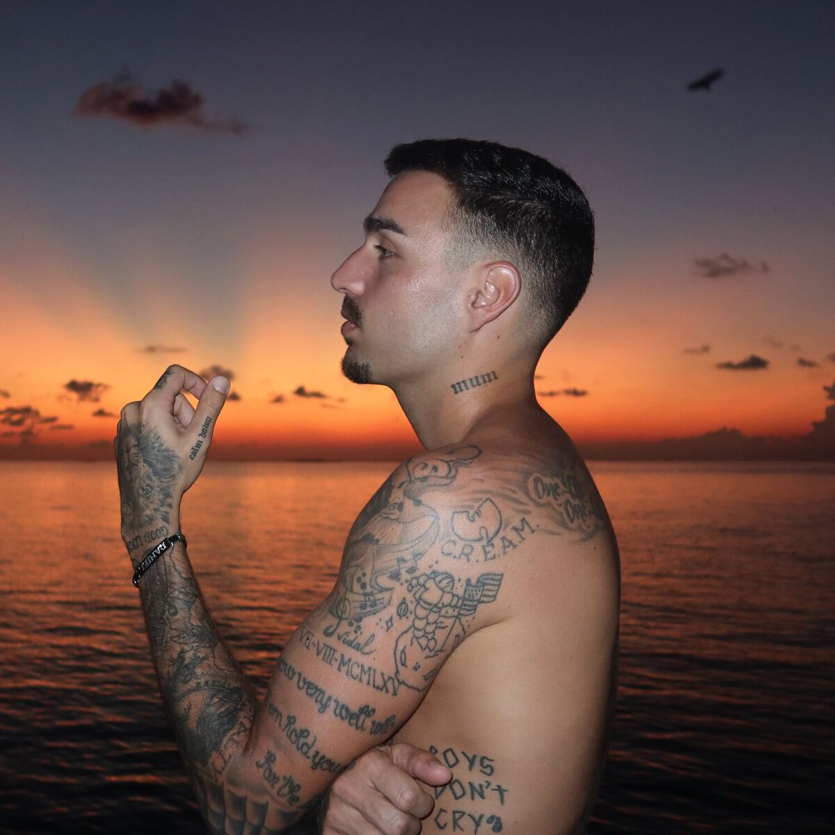Album cover of La Vida Sin Ti