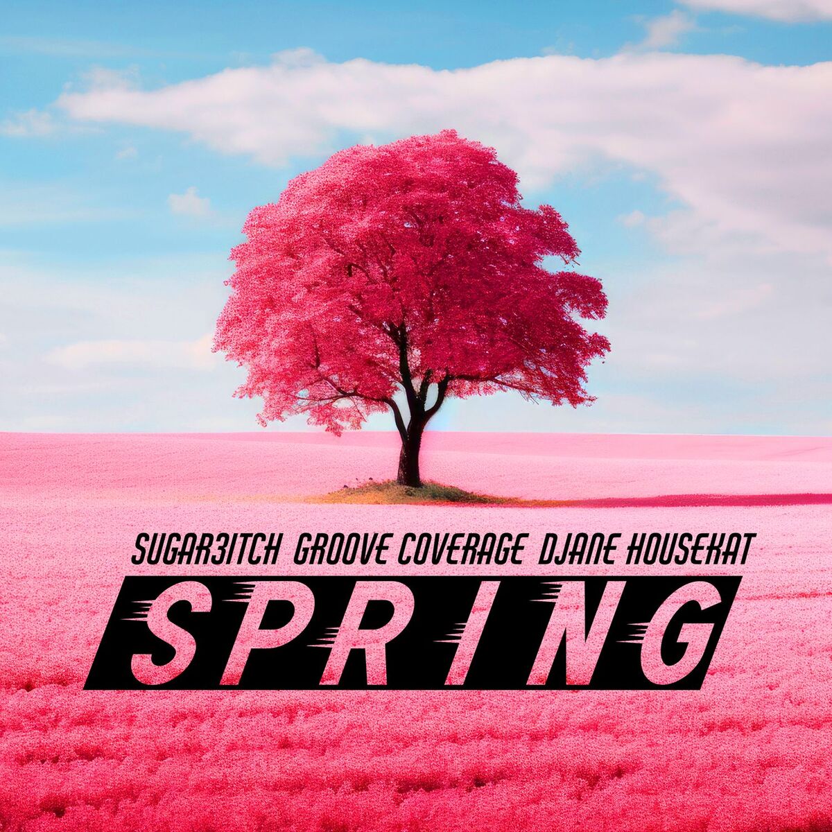 Album cover of SPRING