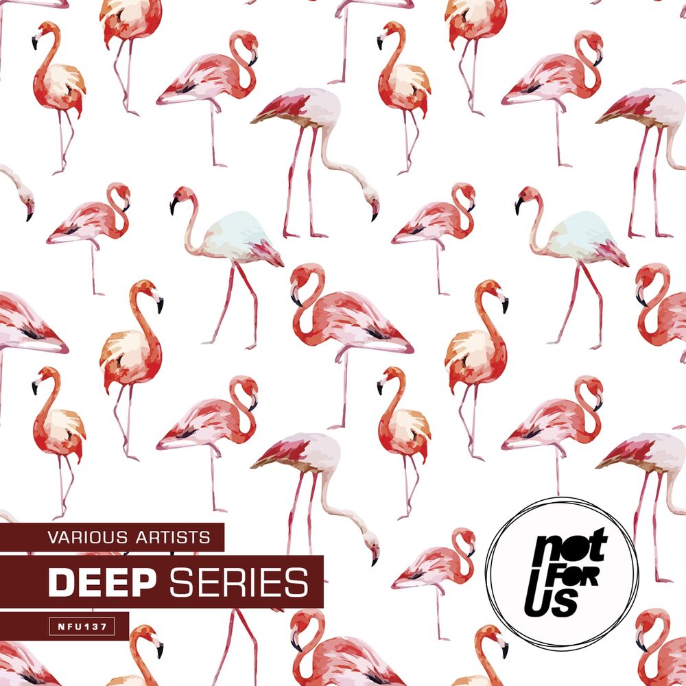 Picture of Deep Series