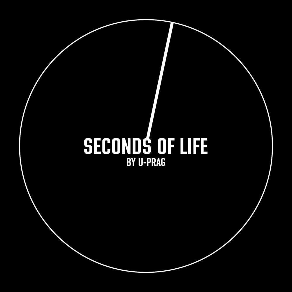 Picture of Seconds of Life