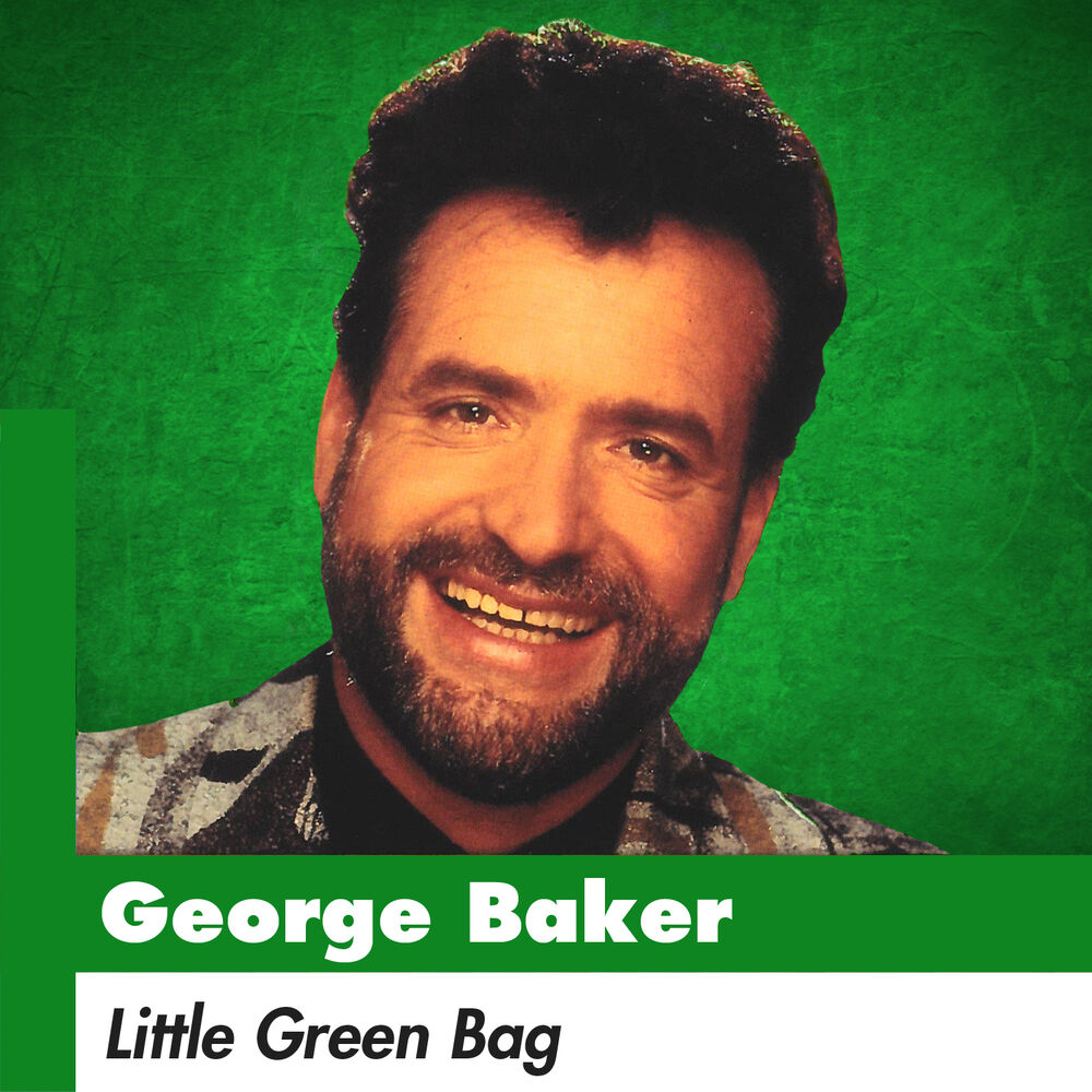 Picture of Little Green Bag