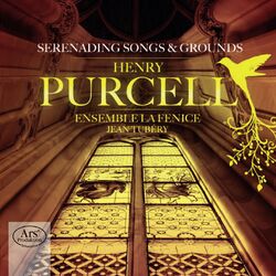 Cover of Purcell: Serenading Songs & Grounds