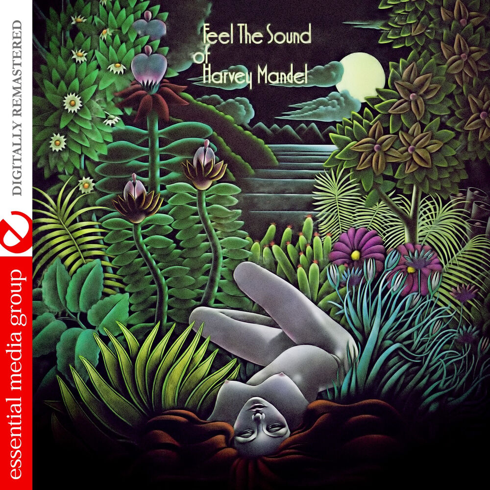 Picture of Feel the Sound of Harvey Mandel (Digitally Remastered)