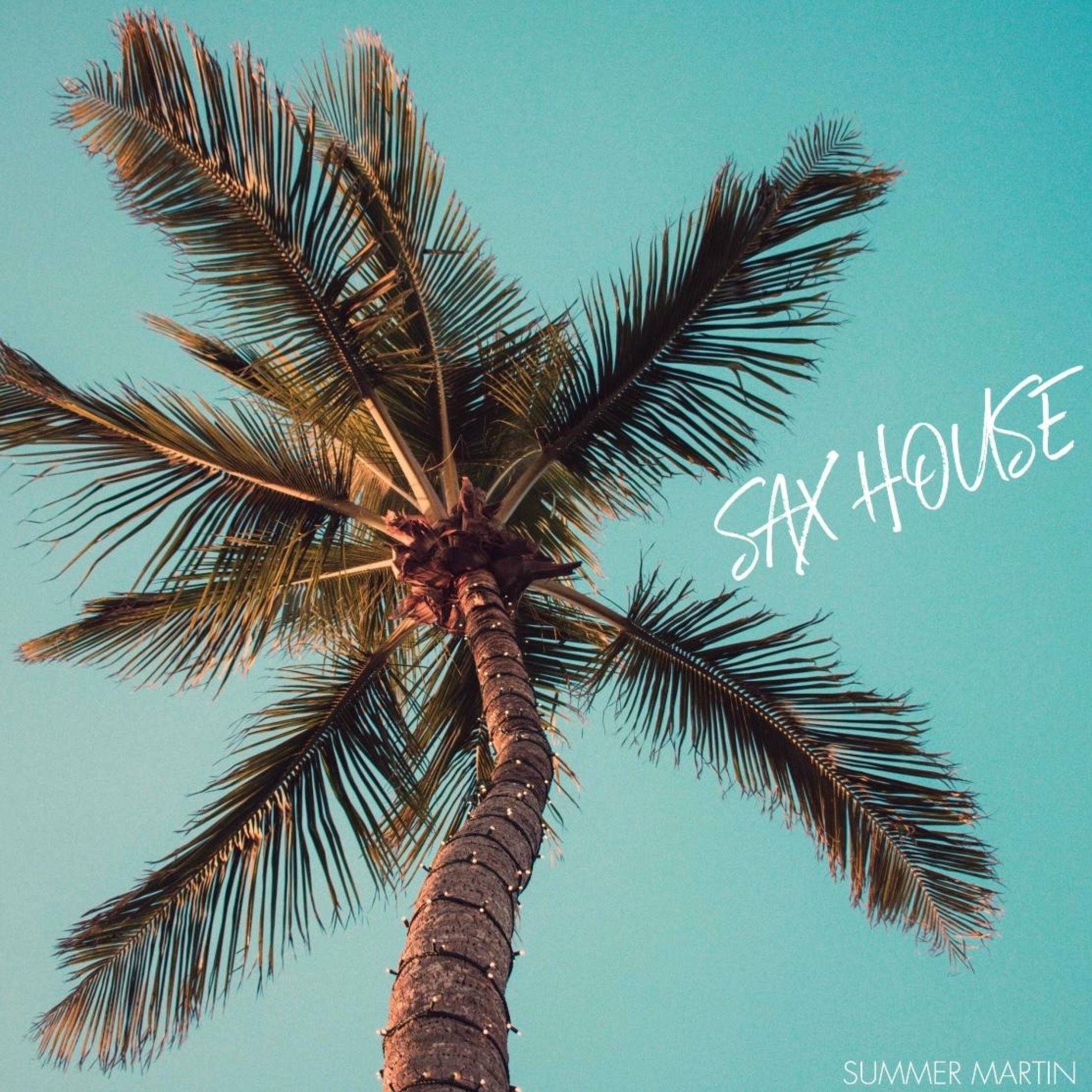 Album cover of Sax House