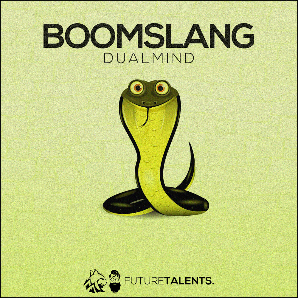 Picture of Boomslang