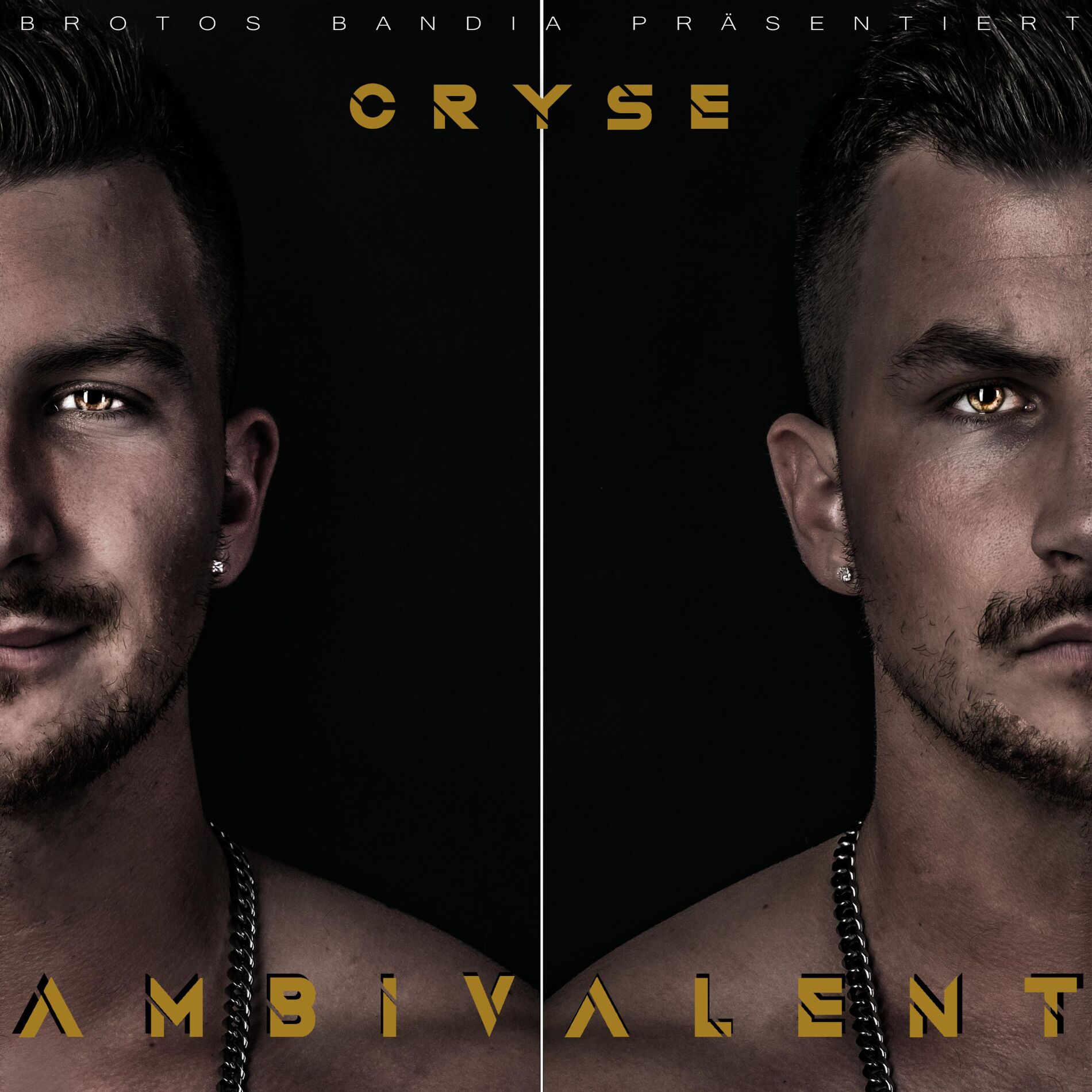 Album cover of AMBIVALENT