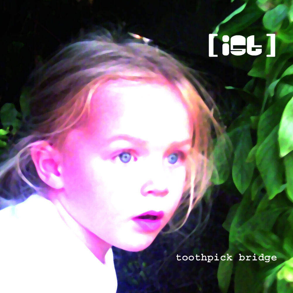 Picture of Toothpick Bridge