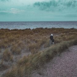 Cover of Oceans Apart