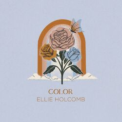 Cover of Color