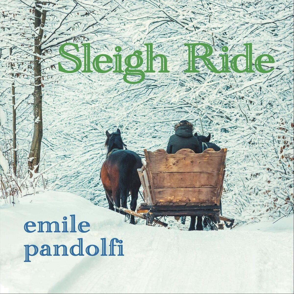 Album cover of Sleigh Ride