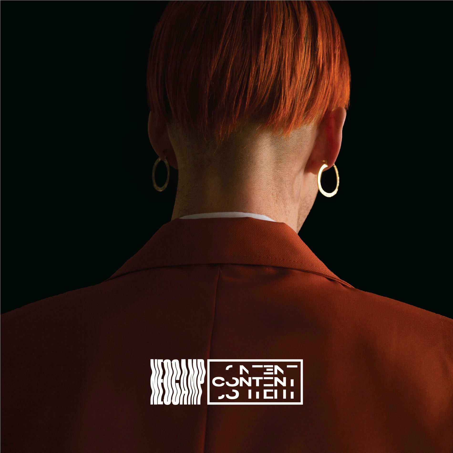 Album cover of Content