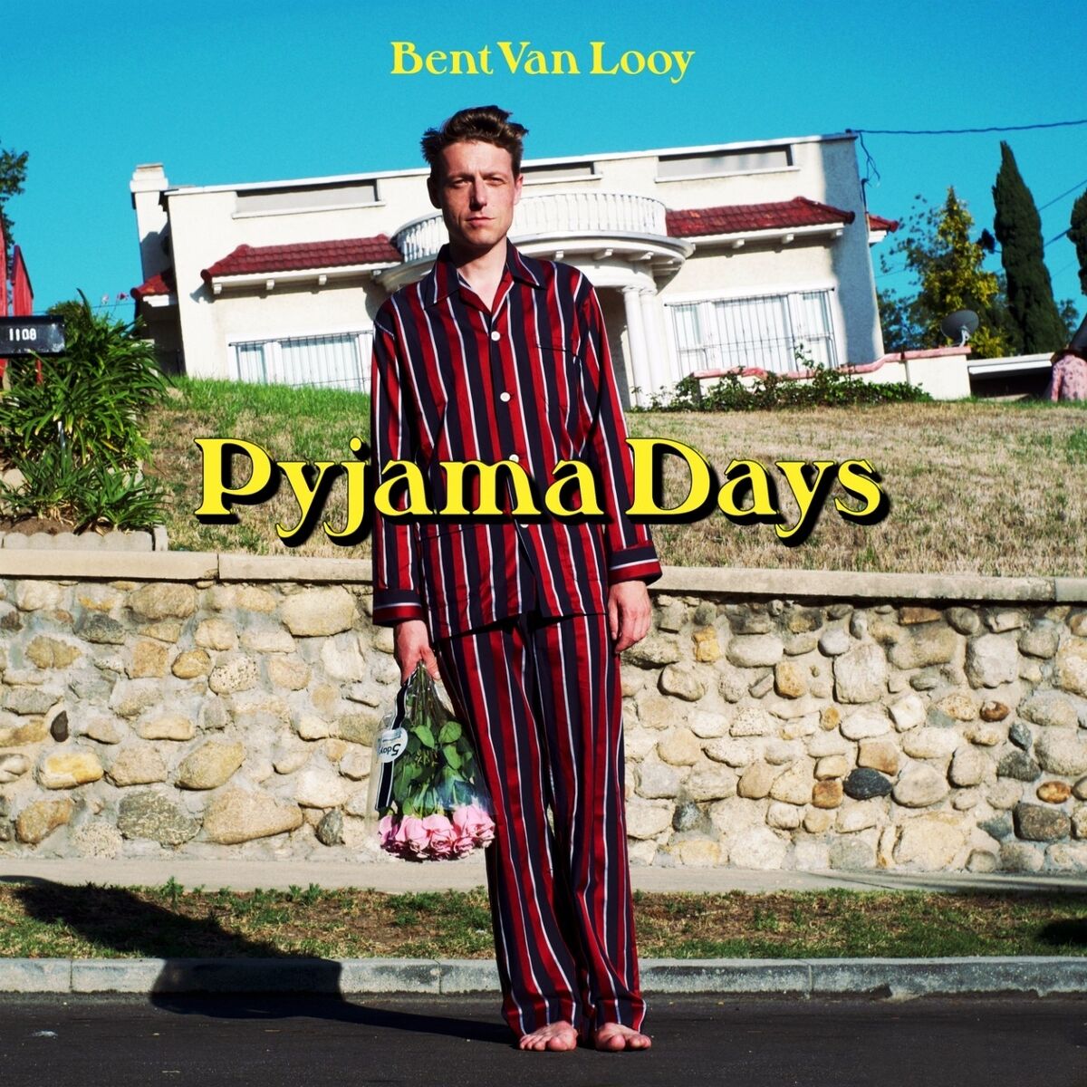 Album cover of Pyjama Days