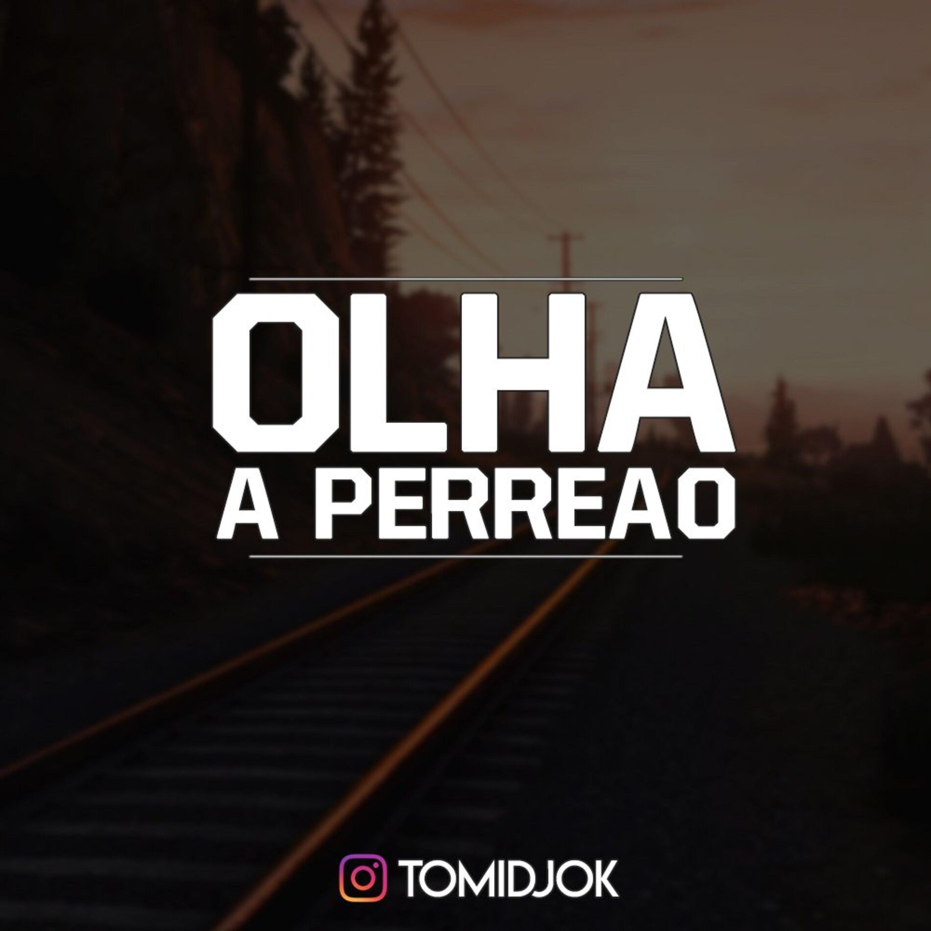 Album cover of Olha a Perreao