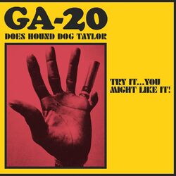 Cover of Try It...You Might Like It: GA-20 Does Hound Dog Taylor