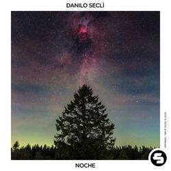 Cover of Noche