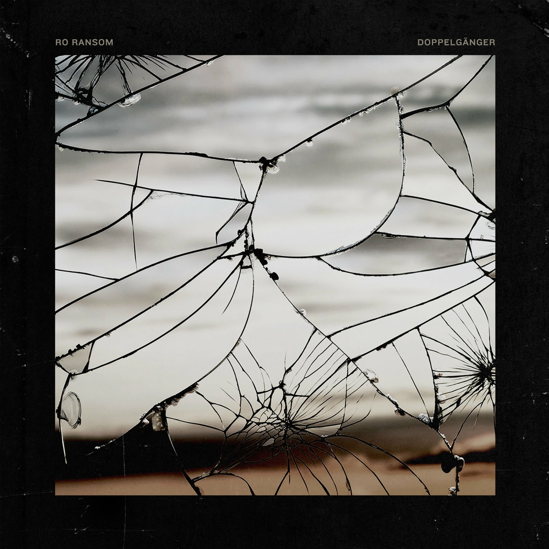 Album cover of Doppelgänger