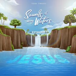 Cover of Sounds of many waters the deep (deluxe)