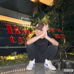 Cover of Born trap