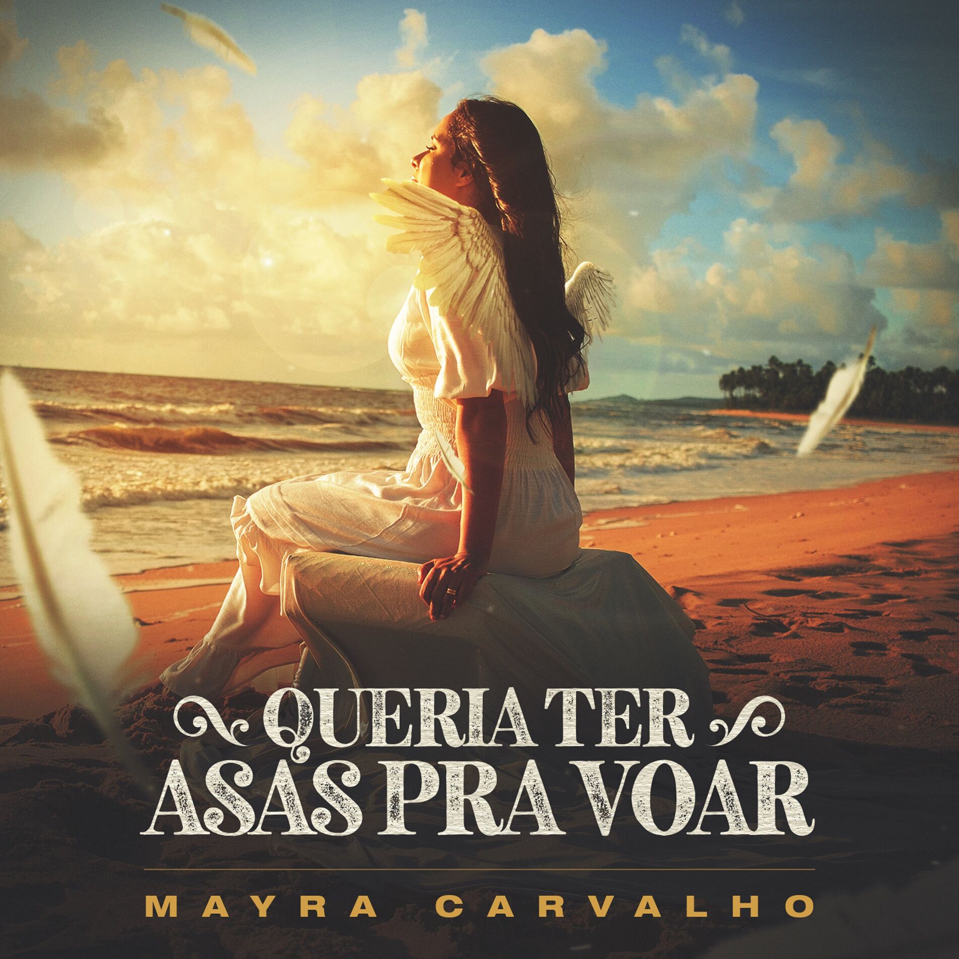 Album cover of Queria Ter Asas pra Voar
