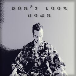 Cover of Don't Look Down