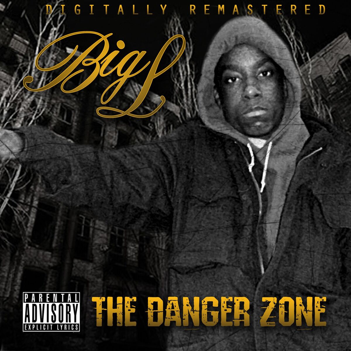 Album cover of Work, Pt. II (feat. Gang Starr)