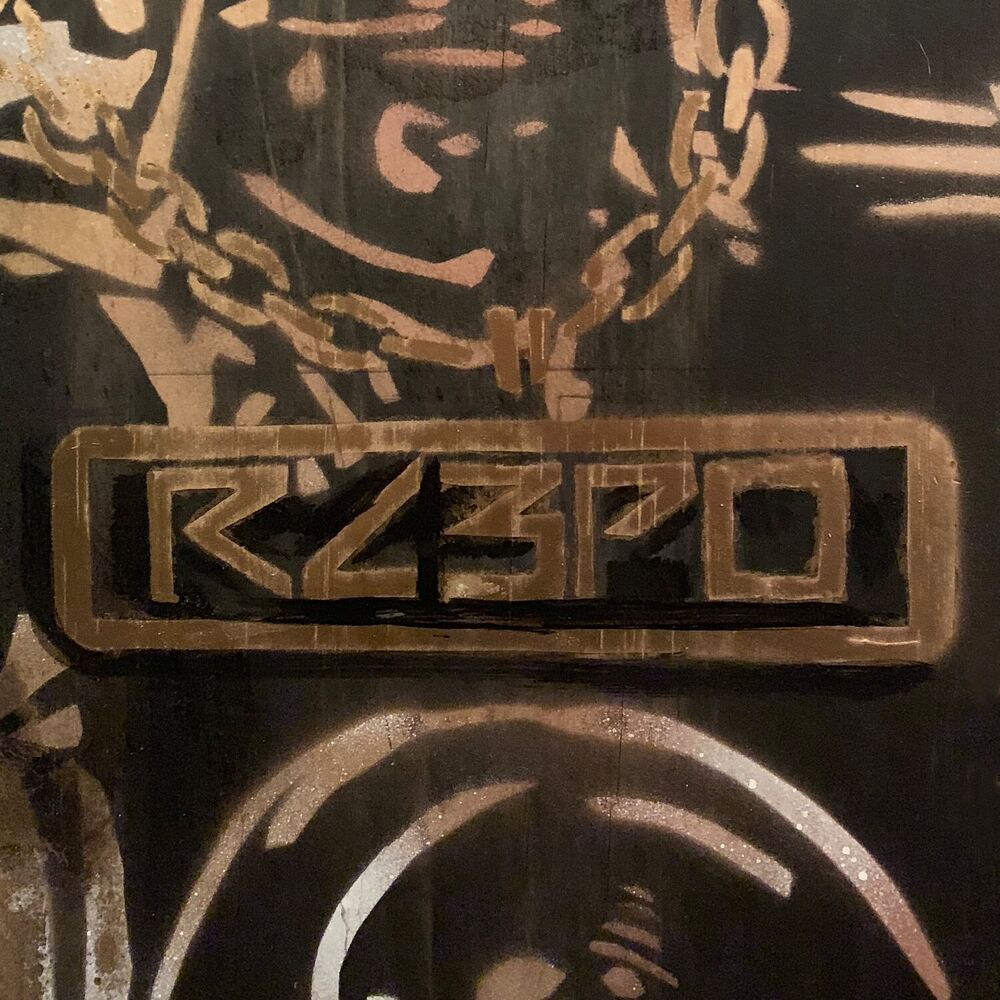 Picture of RC3PO