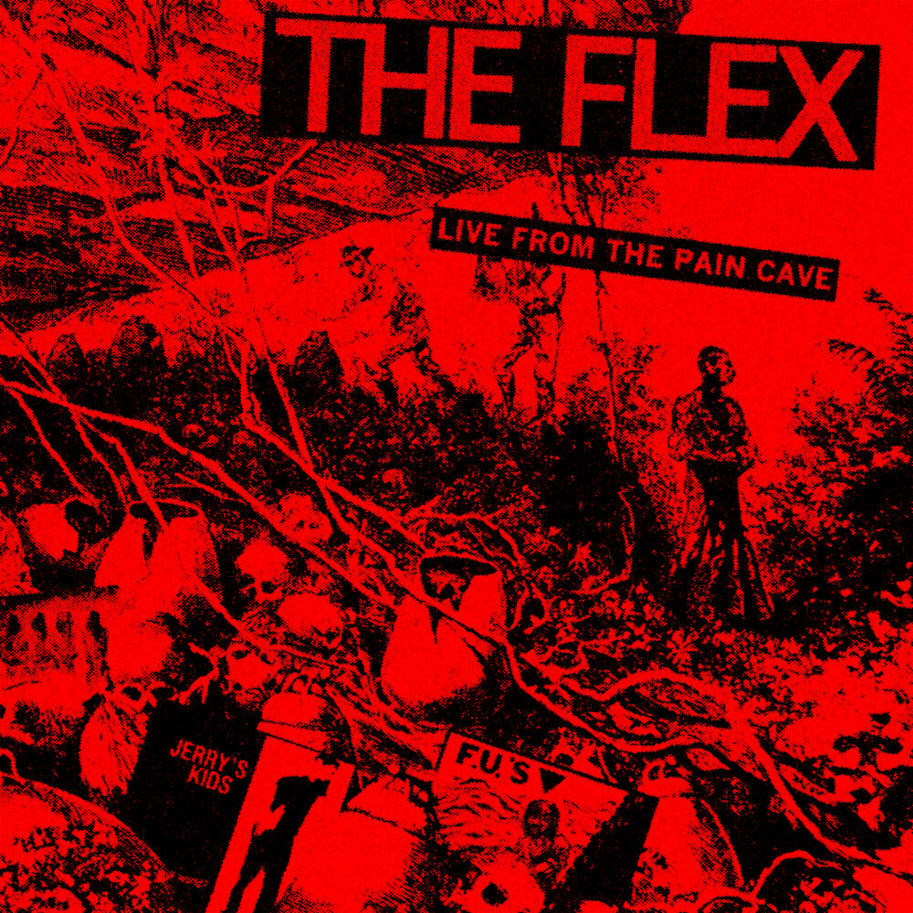 Picture of Flexual Healing Vi: Live from the Paincave
