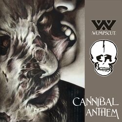 music cover