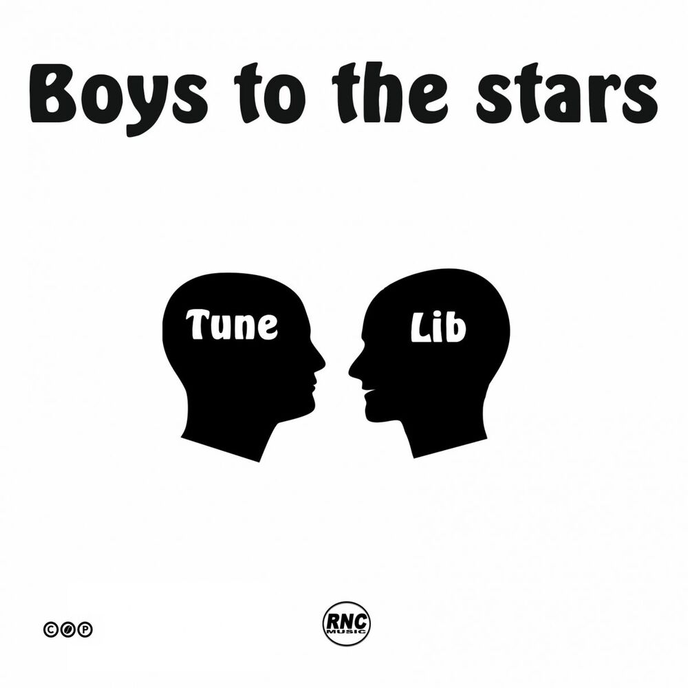 Picture of Boys to the Stars