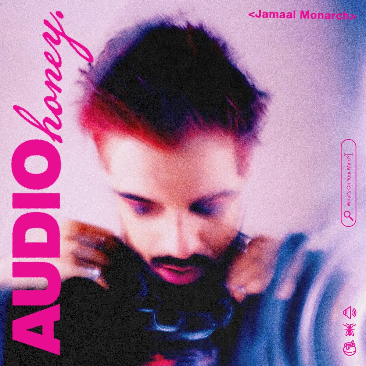 Album cover of Audio Honey