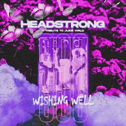 Cover of Wishing Well