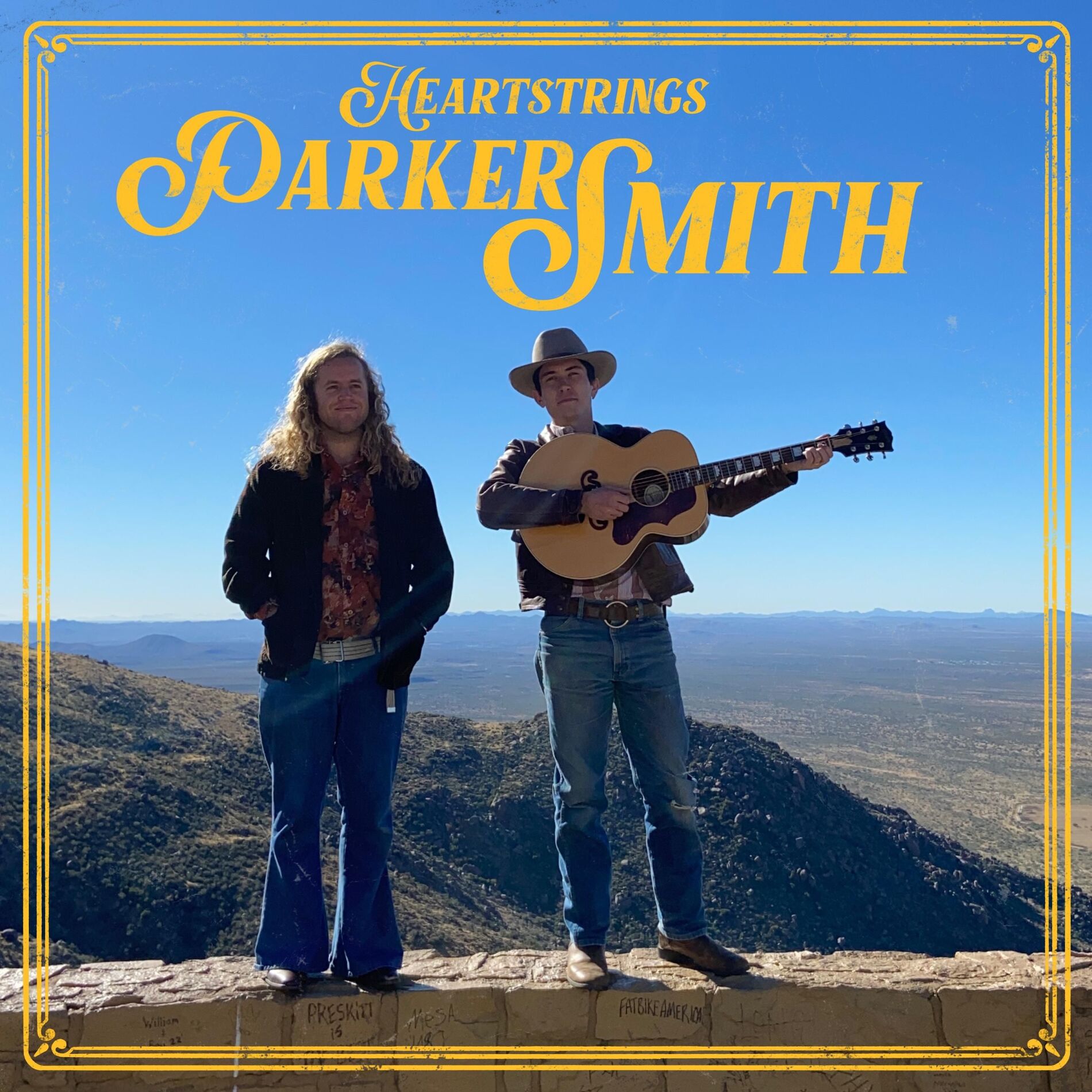 Album cover of Heartstrings