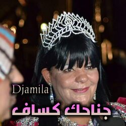 Cover of جناحك كساف