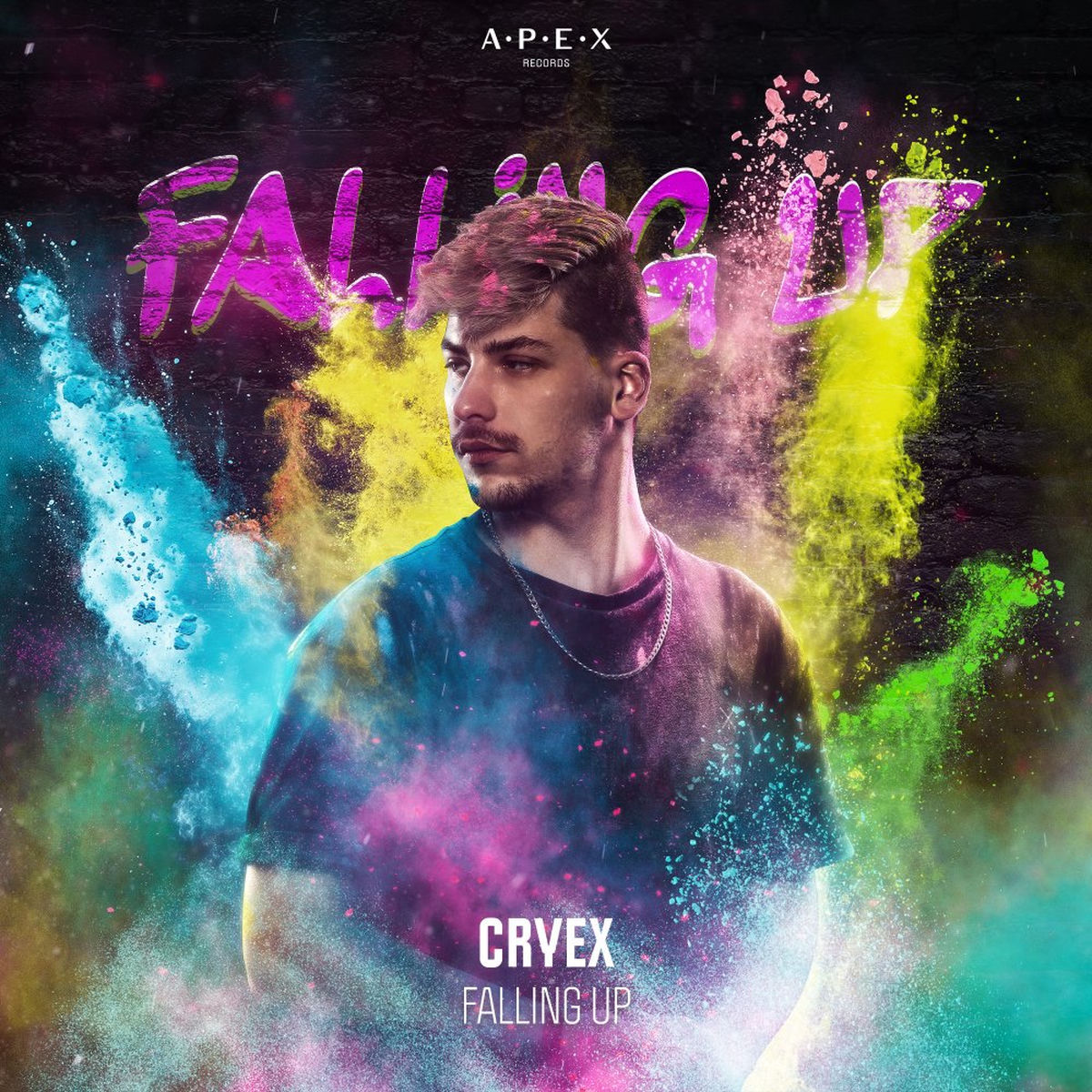 Album cover of Falling Up