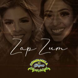 Cover of Zap Zum