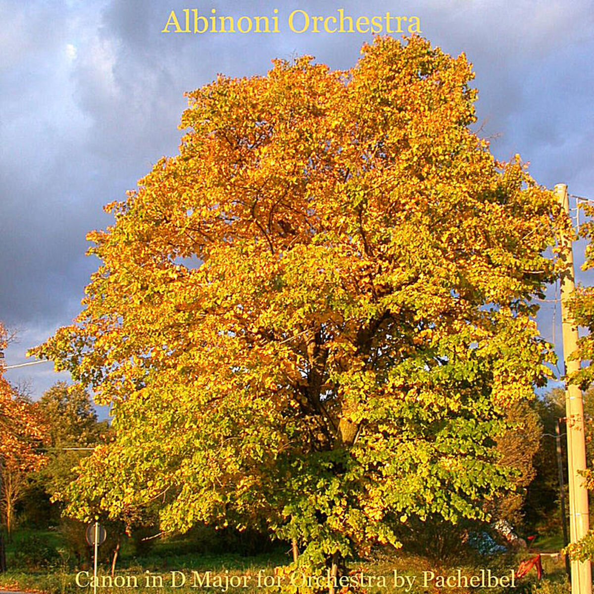 Album cover of Canon in D Major for Orchestra by Pachelbel
