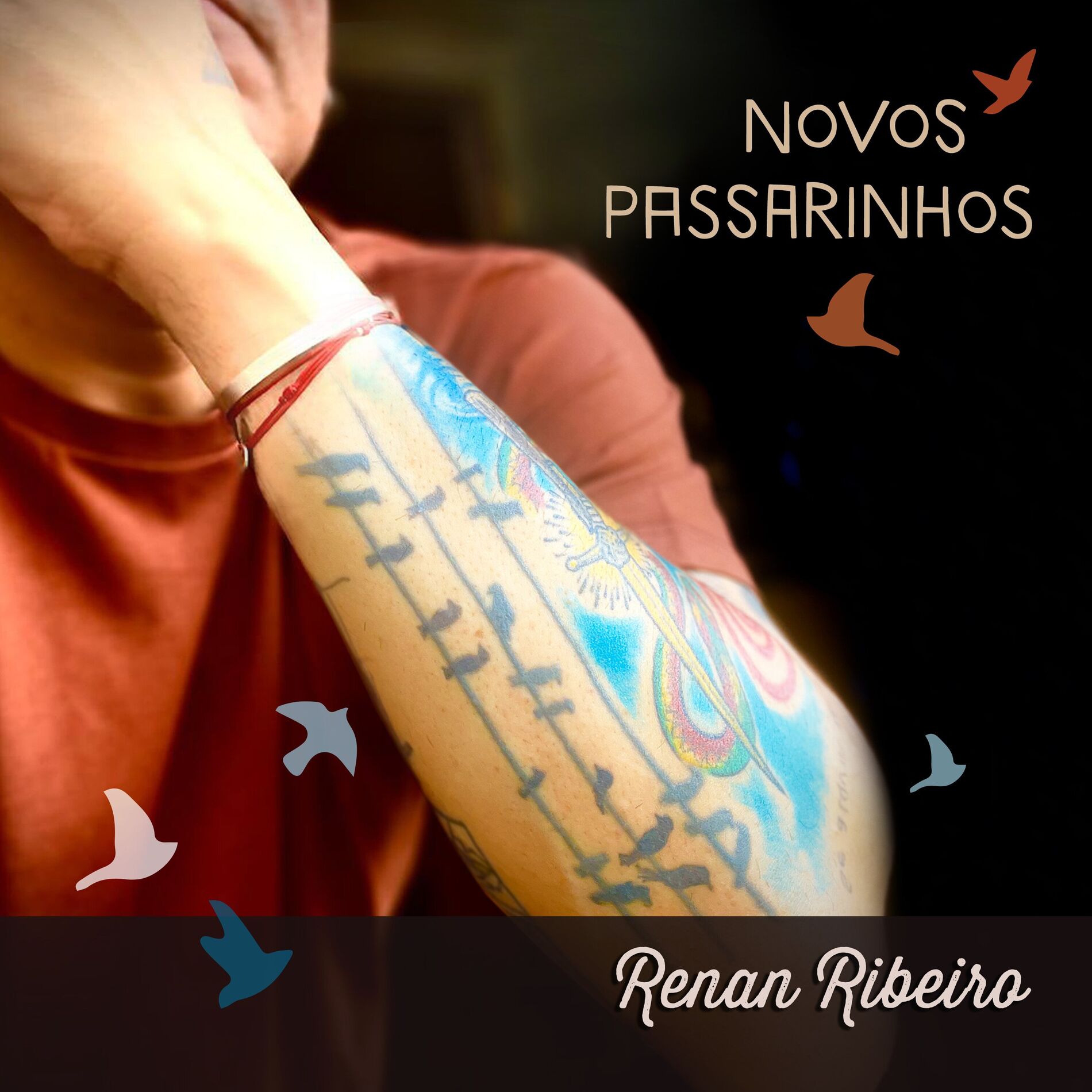 Album cover of Novos Passarinhos