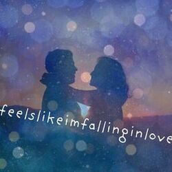 Cover of feelslikeimfallinginlove