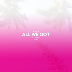 Cover of All We Got