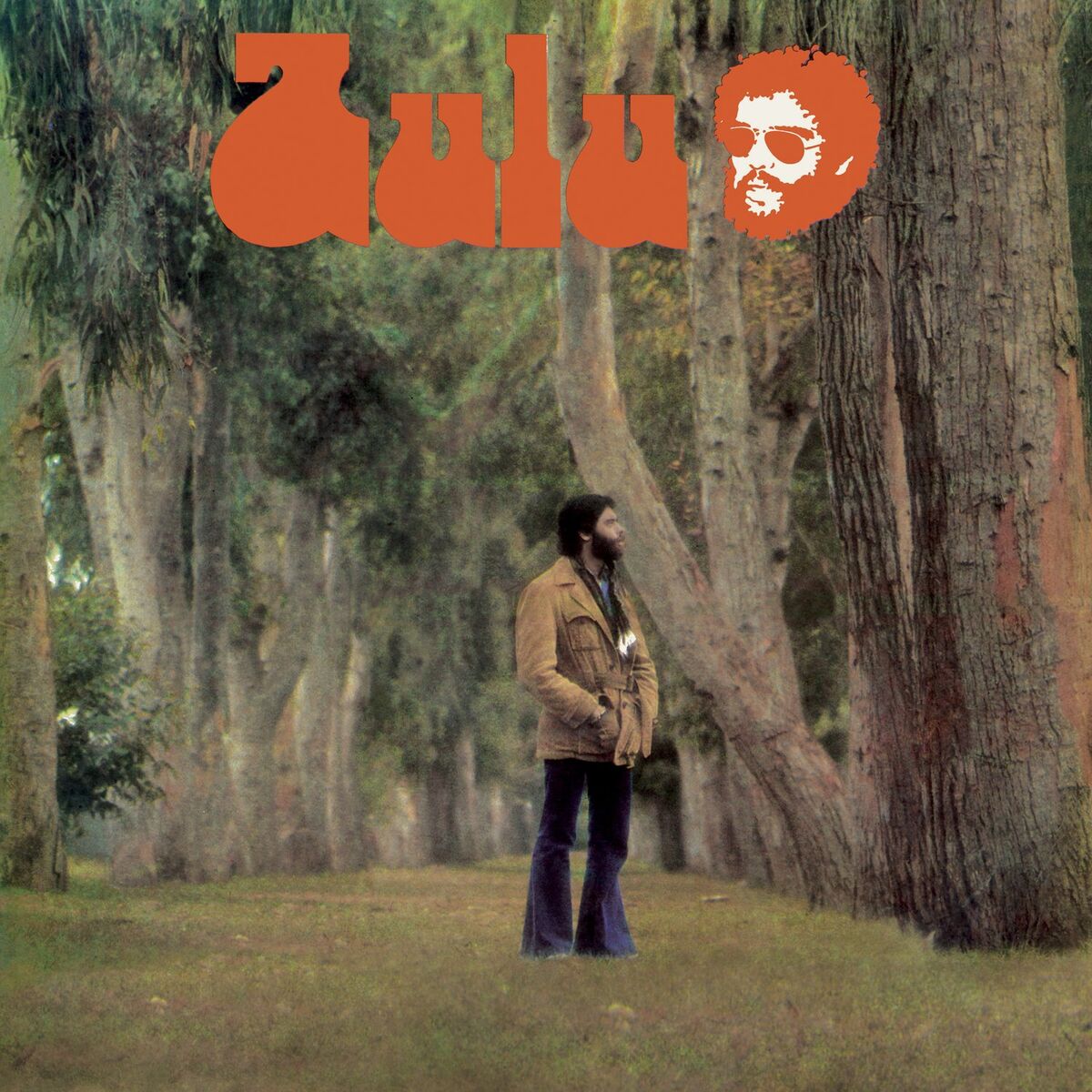 Album cover of Zulu