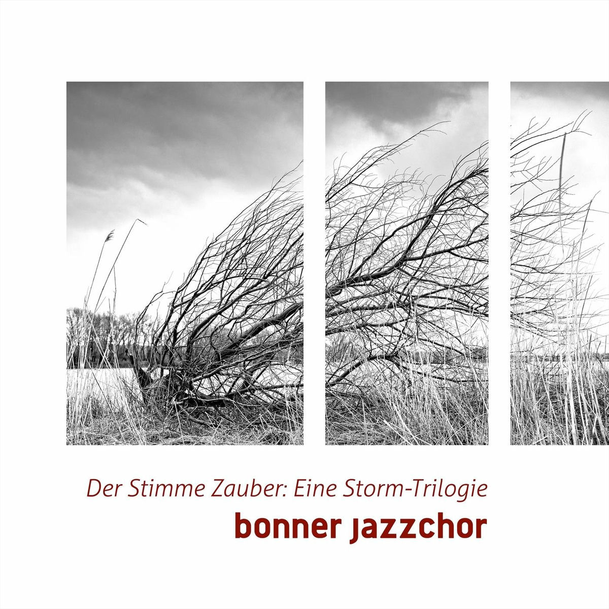 Album cover of Der Stimme Zauber: Eine Storm-Trilogie