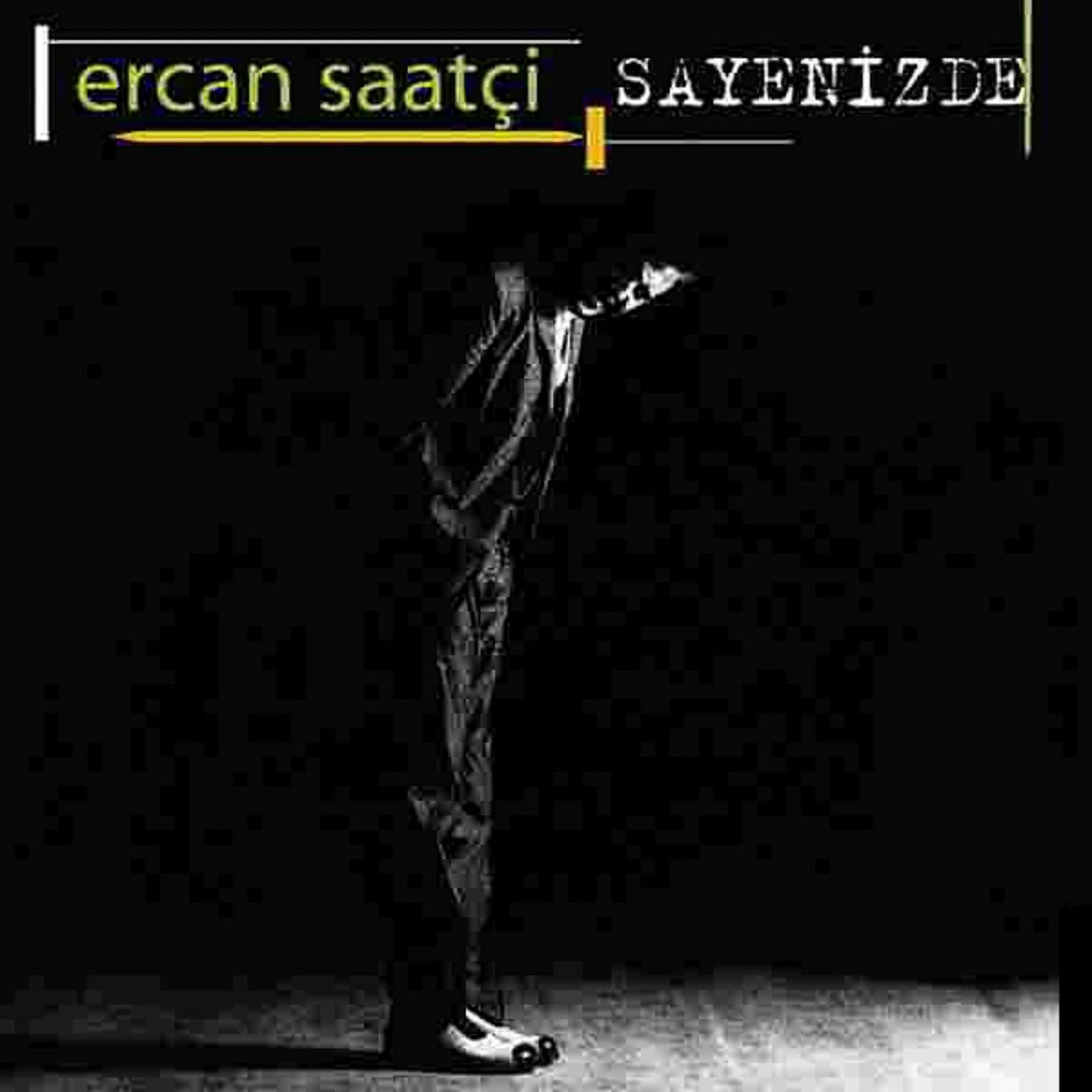 Album cover of Sayenizde