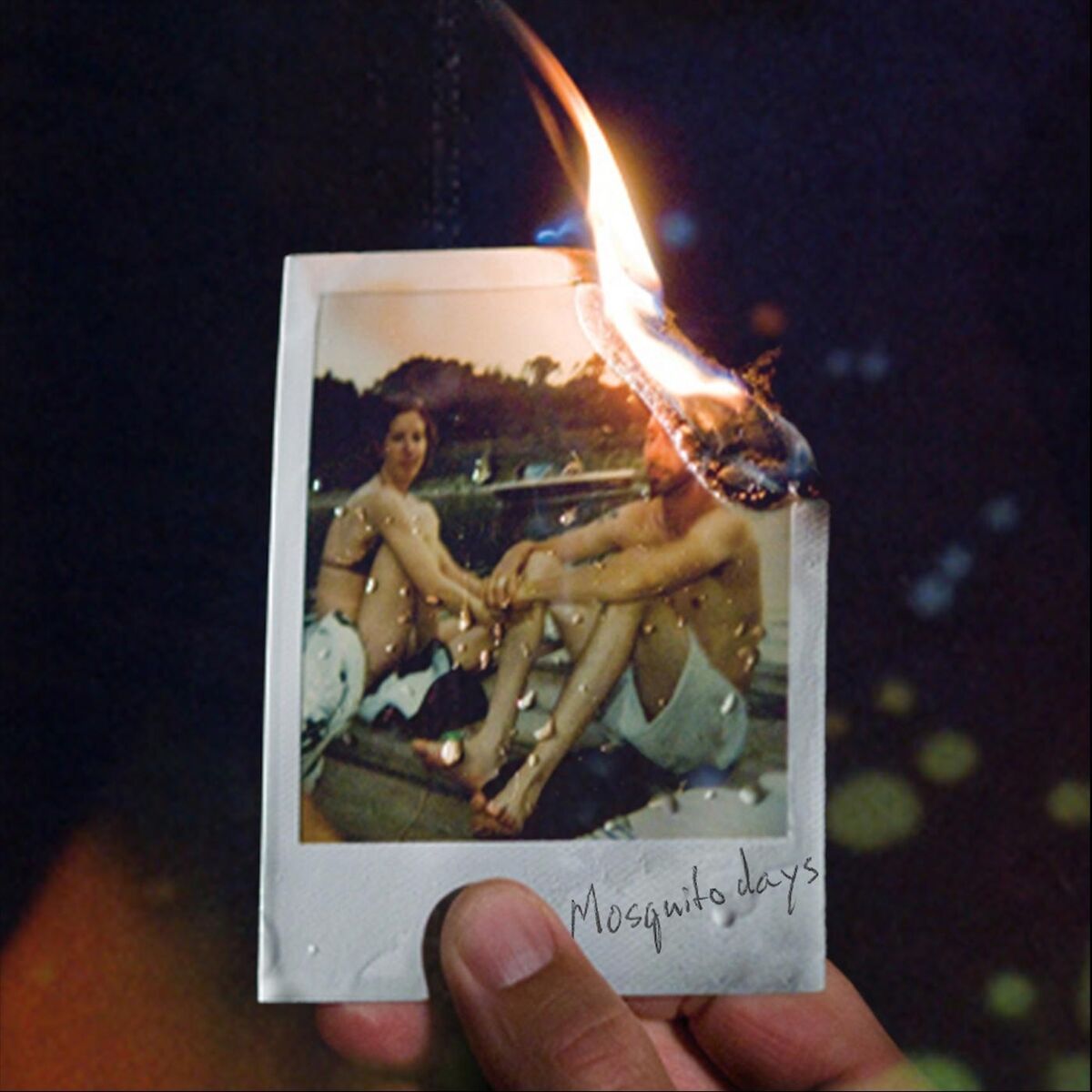 Album cover of Mosquito Days