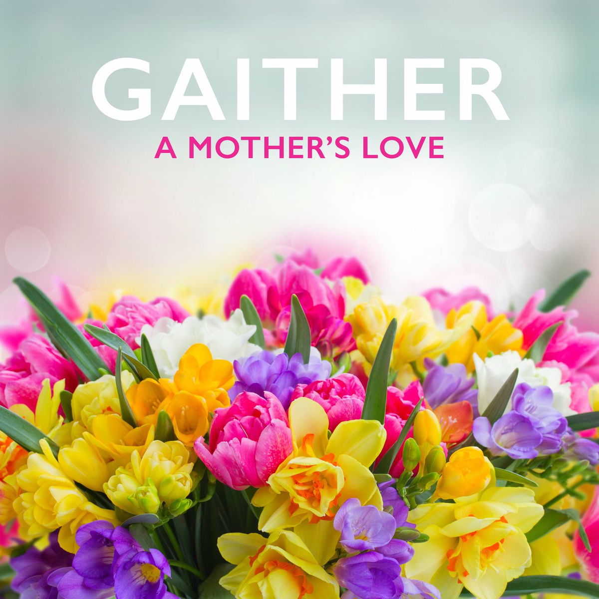 Album cover of Gaither: A Mother’s Love