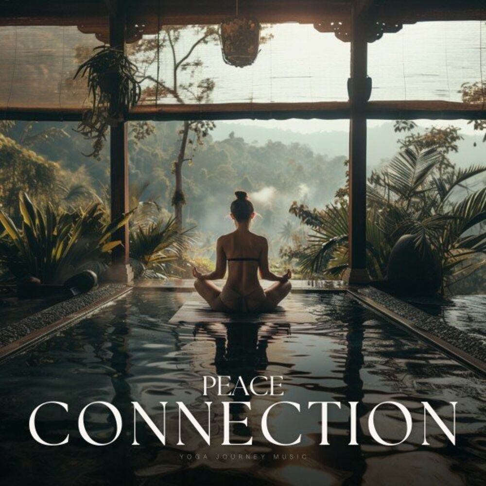 Picture of Peace Connection