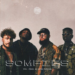 Cover of Somfies