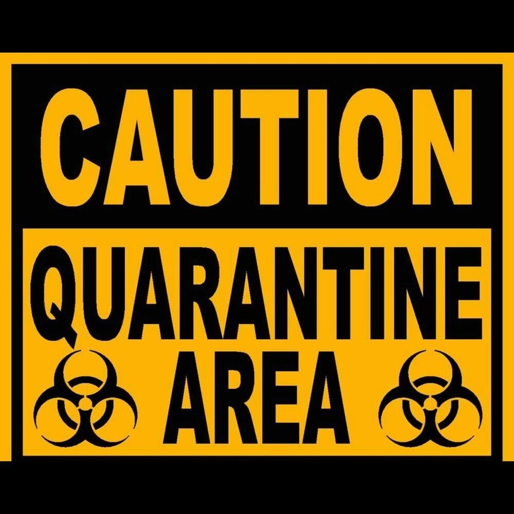 Picture of Quarantine, Vol. 2