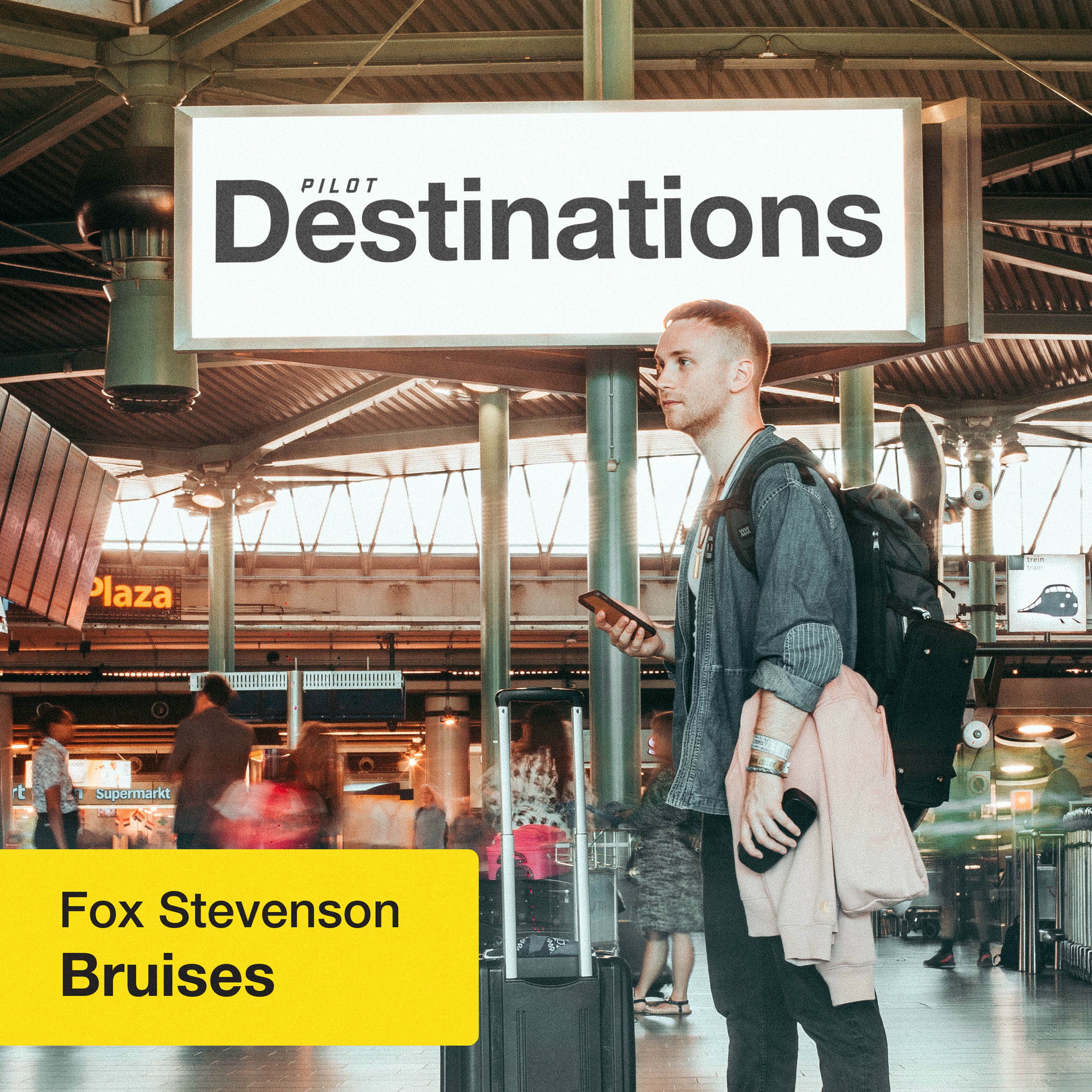 Album cover of Bruises
