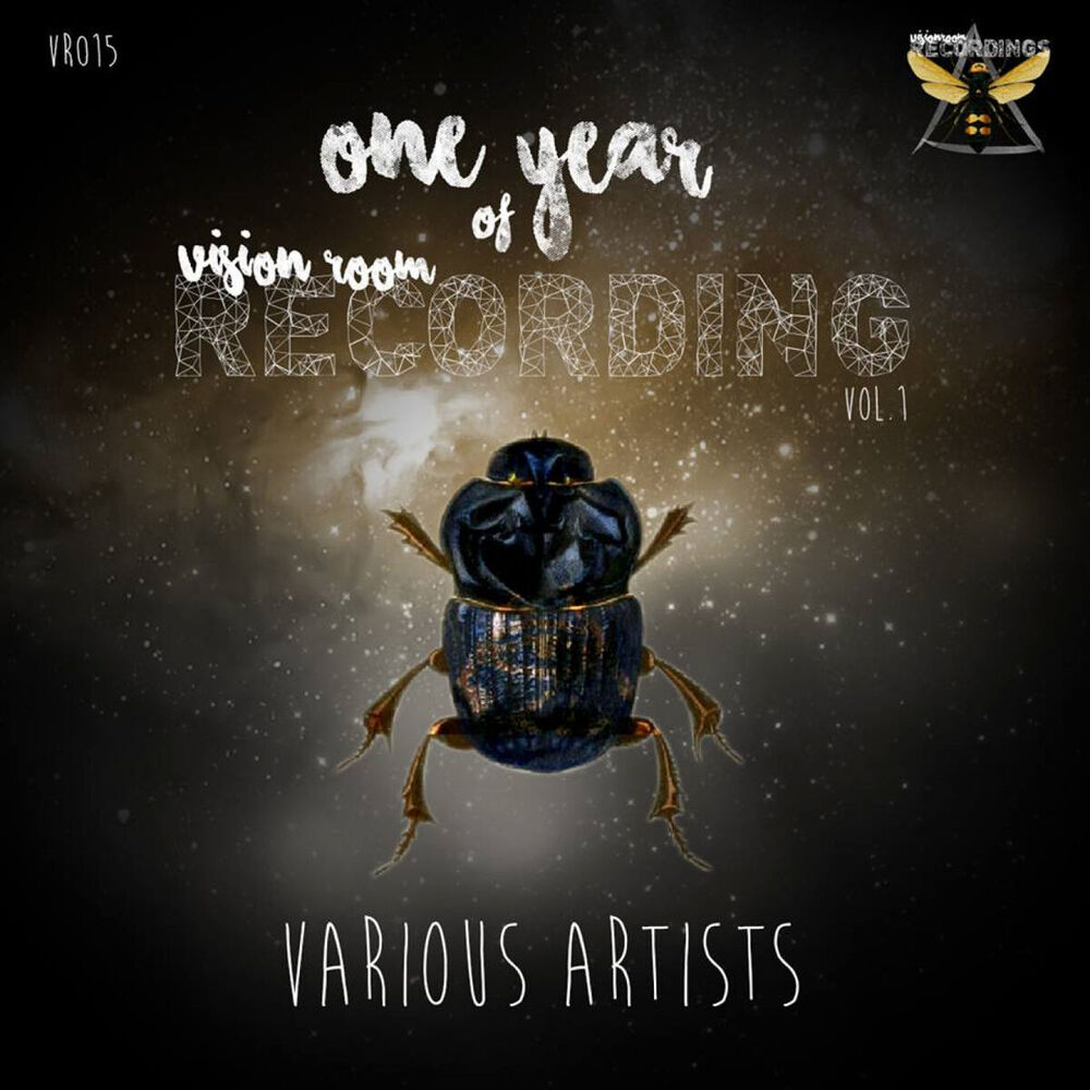 Picture of ONE YEAR OF VISION ROOM RECORDINGS