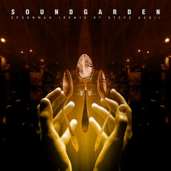 Cover of Spoonman (Remix By Steve Aoki)